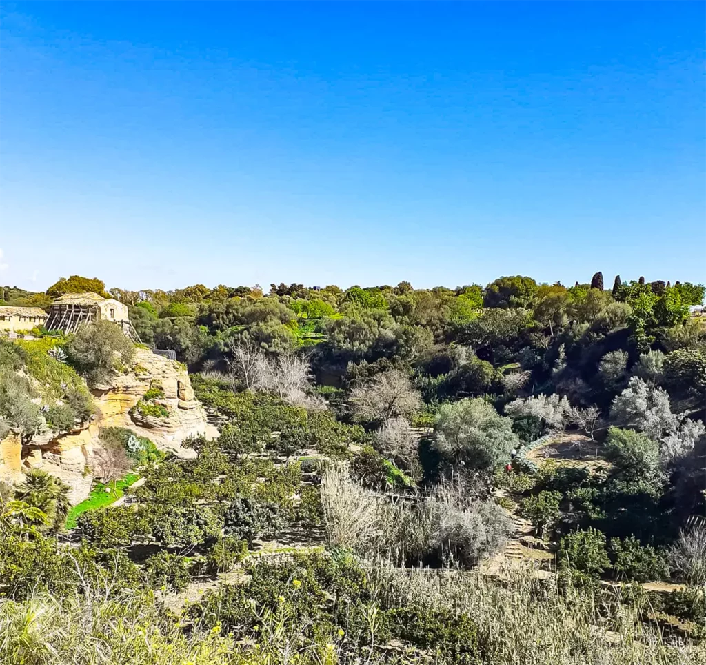 Panorama della Valle dei Templi dai Giardini della Kolymbetra con il nuovo Telamone di Agrigento in lontananza (foto di Alessia Di Gregorio)