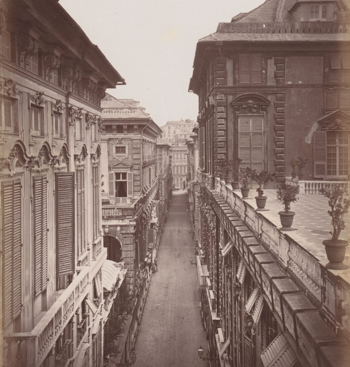 la strada nuova di genova dove si affacciano i Palazzi dei Rolli